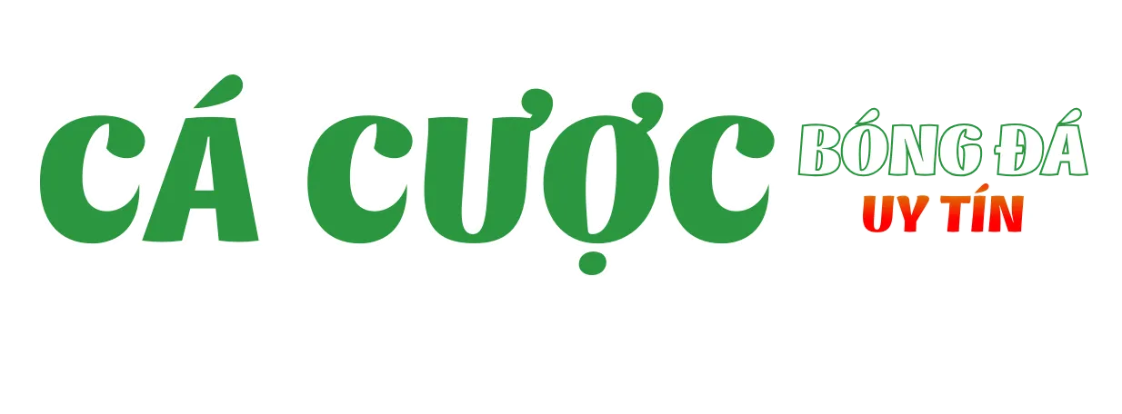 blancotravel.com.co