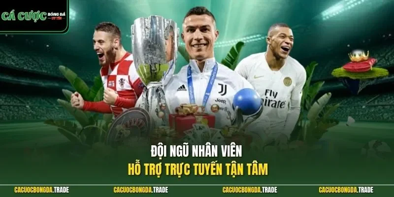 Đội ngũ nhân viên hỗ trợ trực tuyến tận tâm